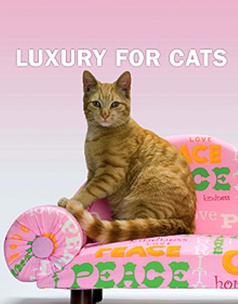 "Luxury For Cats":     !