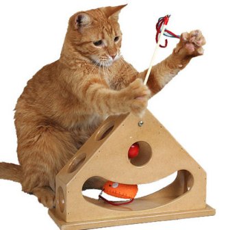 Игрушки для кошки