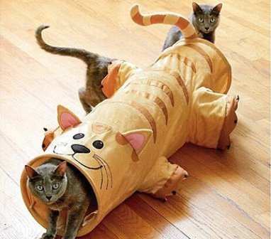 Игрушки для кошки
