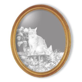 Аксессуары для любителей кошек