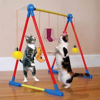 Зарядка для котов