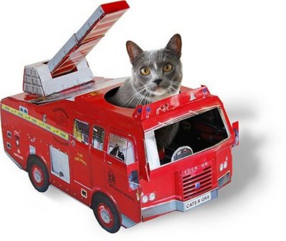 Собери домик для кота