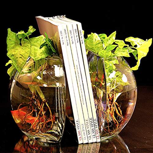 Аквариумный упор для книг