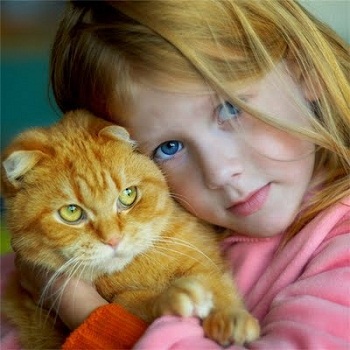 Дети и кошки