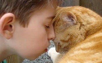 Дети и кошки