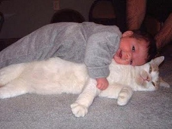 Дети и кошки