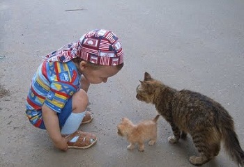Дети и кошки
