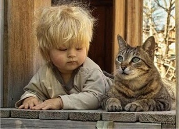 Дети и кошки