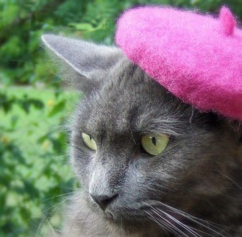 Французский берет для котов