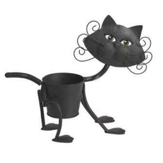 Цветущие коты Цветущие коты