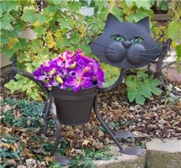 Цветущие коты Цветущие коты