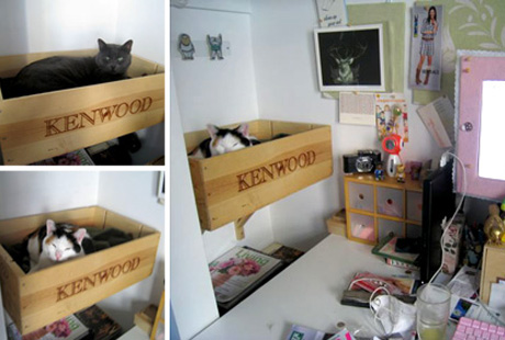 Винная коробка для котов Винная коробка для котов