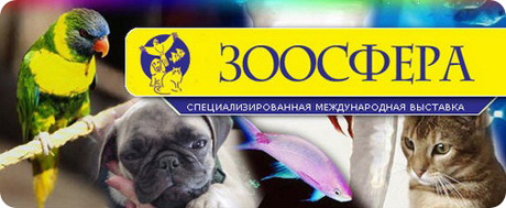 Что «Зоосфера» нам готовит? Что «Зоосфера» нам готовит?