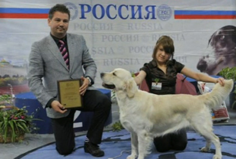 «Россия-2010» приглашает всех любителей собак «Россия-2010» приглашает всех любителей собак