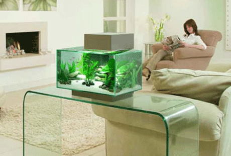 Стеклянные изыски Стеклянные изыски