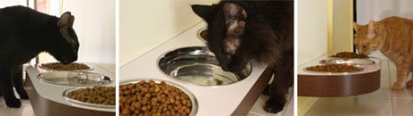 ЗаMaowчательная кормушка для котов ЗаMaowчательная кормушка для котов